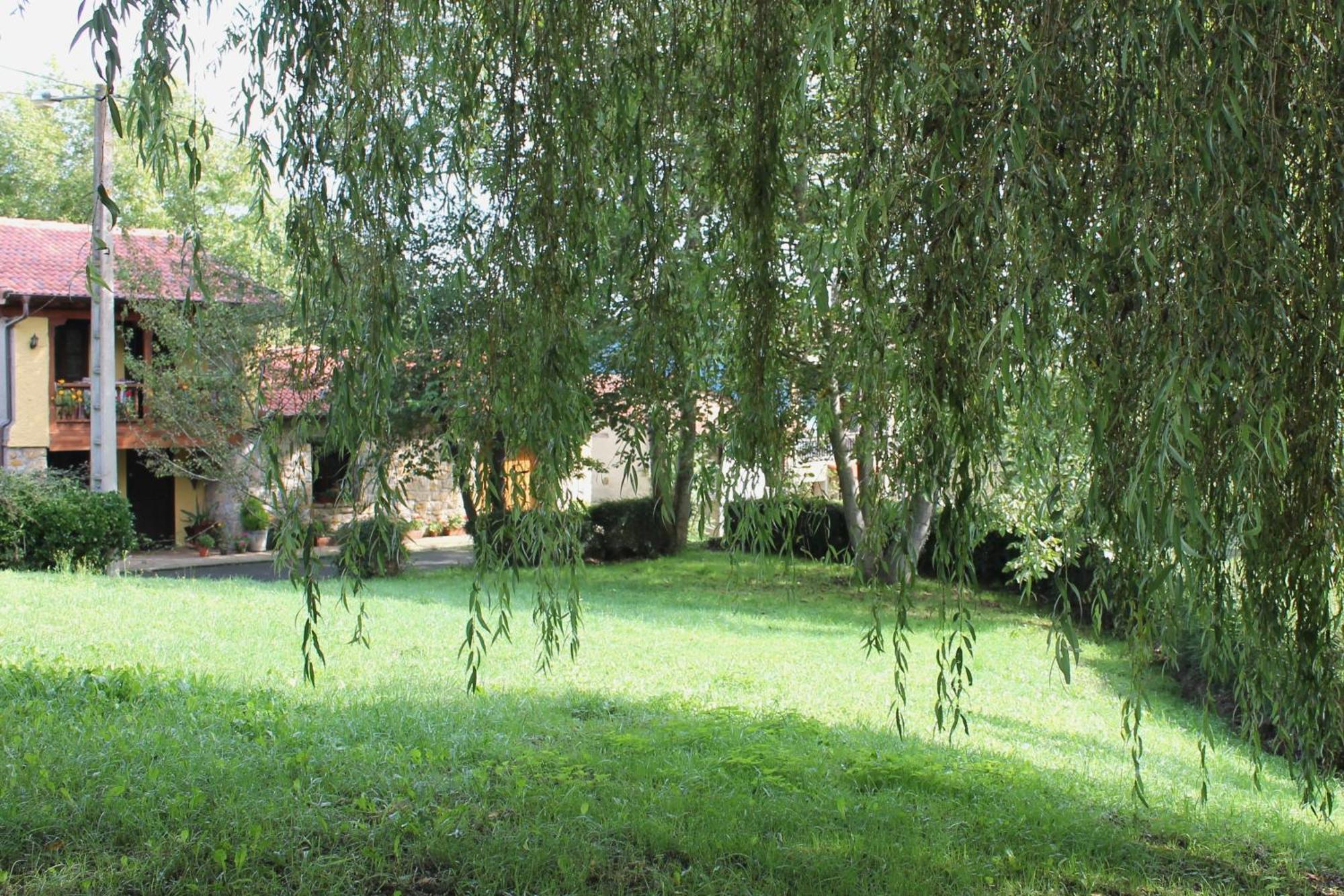 Casa De Aldea Monga 9 En Nava, Asturias Vila Exterior foto